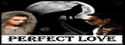 Perfect love (Serie completa)