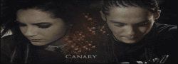 Canary