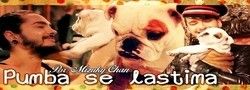 Pumba y sus Amigos. La Serie